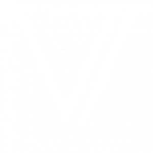 VIRAL GROWTH SOCIAL MEDIA MARKETING